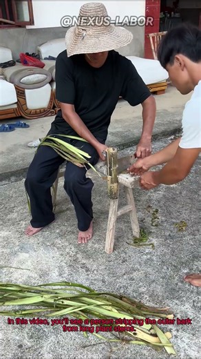 How to Strip Plant Bark for Fiber: Traditional Craft Tutorial