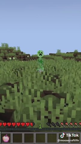 Woah! Exploring Minecraft Memes and Moosecraft Fun