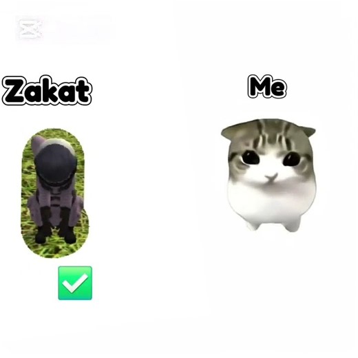 Terranova cat meme but with SS2O friends | #shorts |