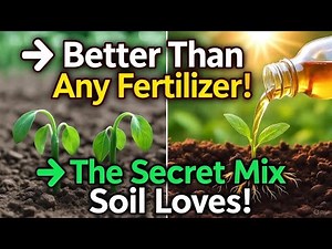 This Secret Soil Elixir Beats Every Fertilizer! (Grow 3X Faster Naturally