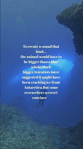 Something Screamed in the Ocean in 1997… The Bloop Mystery Explained #historymystery