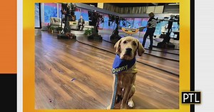 PTL Pupdate: One week till Donny goes to professional training