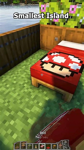 Minecraft Smallest Island #shorts #minecraft