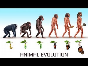 Hybrid Animals : Spore Evolution Gameplay Trailer