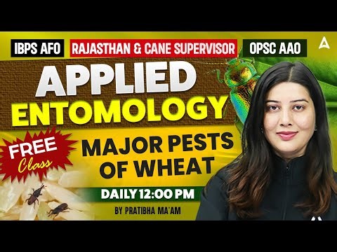 Applied Entomology Major Pests Of Wheat | IBPS AFO | Rajasthan Cane supervisor | OPSC AAO