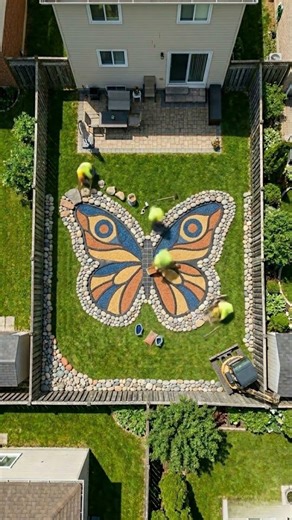 Butterfly Shape Koi Pond Installation Process #gardening #diy