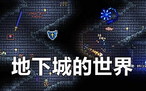 【Terraria1.3多人生存】地下城的世界【13】【专家】_哔哩哔哩_bilibili