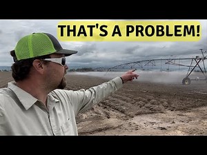 Time to make it rain! Flushing and cleaning our pivots to water the potatoes | getting stuck, geyser