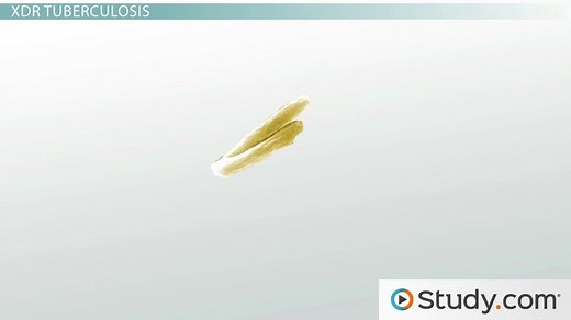 MRSA and Multi-Drug Resistant Pathogens