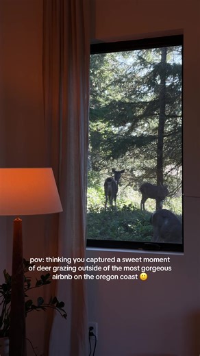 Deer Grazing at a Stunning Oregon Coast Airbnb
