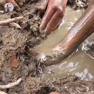 713K views · 5.9K reactions | Have you catch fishes in hole? Catching and grilling fish for lunch Part 2 | Lisa Cooking | Facebook