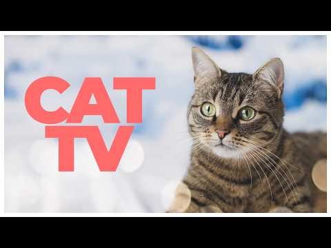 Cat TV 🐱 | Underwater Video Experience for Cats | Relaxation & Enrichment (6 Hours)