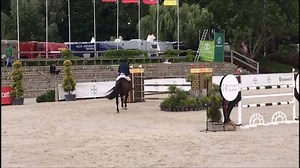 FOR SALE: 8 year old Stallion by Contender. He placed in 1.40m level. Equestrian International is a horse scouting agency for top quality and personally selected jumpers, hunters and equitation horses from Europe. Our in-house logistics department provides door to door service for your chosen equine partner. We ensure that each horse is transported from Europe to its destination hassle free and with the highest standard. Please contact us with your requirements. We travel to Europe on a bimonthl