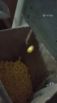 #how to make bottle,cap making