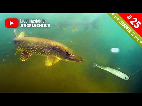 Köderführung zum Hechtangeln im Mai & Juni 🎣🔥🐟