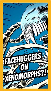 7.1K views · 3.2K reactions | Can a facehugger attack a Xenomorph? #alien #horror #xenomorph #alienearth #alienearthfx #alienvspredator #comics #yautja #thepredator #predatorbadlands #xenomorphqueen #xenomorphs #facehugger #scifi #comic #aliens | Jeremiah Martin | Facebook
