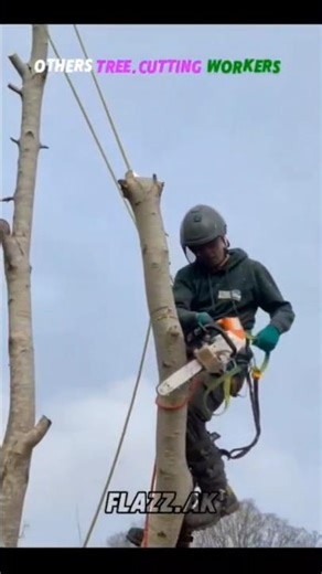 TROLL TREE CUTTING WORKS☠️#tree #trending #work #respect