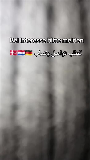 Explore Kurdish Culture and Connections
