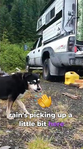 Creating the Perfect Campfire Setup 🔥1