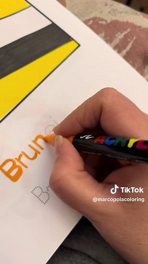 Discover the Meaning Behind the Brunei Flag 🇧🇳