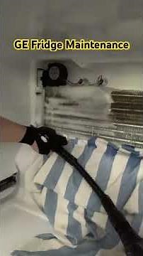 GE Fridge Maintenance, freezer not freezing fully and blowing warm air to ice maker.