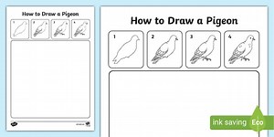 How to Draw a Pigeon