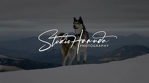 7K views · 42 reactions | A weekly dose of inspiration from our team! ✍️ These are the ✨ Designs of the Week. ✨ Which one is your favorite? | Photologo | Facebook