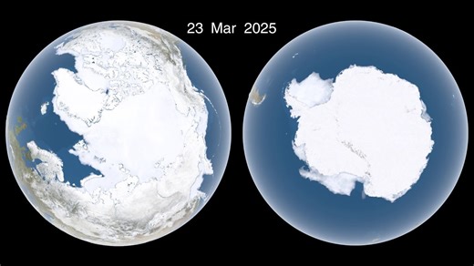 World ice coverage animation