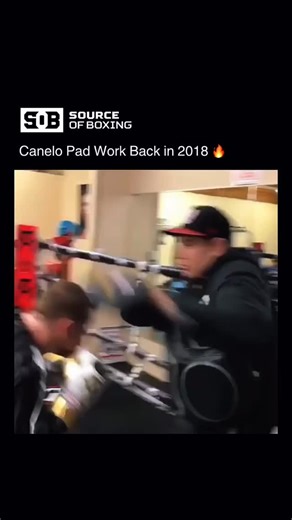 🔥 #Canelo Álvarez has built one of the most accomplished résumés in modern #boxing, capturing world titles in four different weight classes from junior #middleweight to light #heavyweight. He’s fought and beaten some of the biggest names of his era, including #MiguelCotto, #GennadyGolovkin, #SergeyKovalev, and #CalebPlant, while also sharing the ring with #FloydMayweather early in his career. Known for his slick defense, powerful #counters, and body #punching, Canelo rose from a teenage prodigy