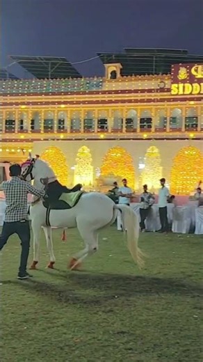 VIP hose VIP dance#_hose#_dance #_viral #_👍🌹✨🌏😜🤪🐴🐎