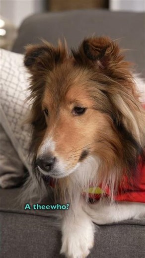 Dear deluded Kevin is LIVING the DREAM! e659-1