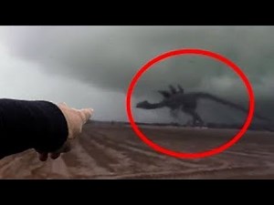 5 Giant Creatures Caught on Camera