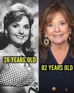 336K views · 37K reactions | What happened to Dawn Wells from Gilligan's Island? | Songs That Rock | Facebook