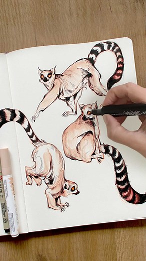 loish on Instagram: "Some of the process for my lemur doodles ~ full inking process videos are available through my patreon! Link in bio ✨ ⠀⠀⠀⠀⠀⠀⠀⠀⠀ #sketchbook #animalsketch #lemursketch #lemurart #characterartist #sketchbookpage #fineliner #finelinerart"