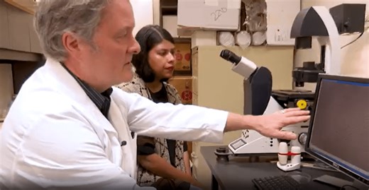 LA Tech lands $5.85 million biotech project from DARPA in partnership with LSUS, Radiance Technologies