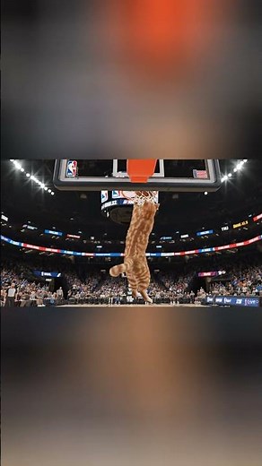 Which team is drafting him?! 🏀 #aiart #nba #cat #dunk #basketball #slamdunk #shorts