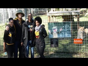 The Lion King Cast Meets The Lions Of Big Cat Rescue