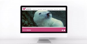 23K views · 114 reactions | Happy #TourismWeek! We're celebrating the positive impact tourism has on our city and country this week. Today, we're thrilled to launch our new itinerary builder at https://www.tourismwinnipeg.com. Planning to travel to Winnipeg or hoping to help your guests with their upcoming trip? Start here! We've put together a video to show you how it works.  | Visit Winnipeg | Facebook