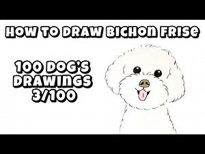 How to Draw Bishon Frise – 100 Dog Drawings 3/100 – Engaging Art Session