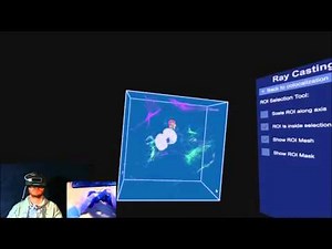 Virtual Reality Assisted Microscopy Data Visualization and Colocalization Analysis