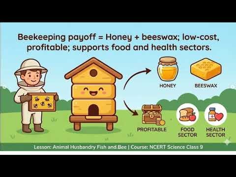 Fish Farming & Beekeeping Explained | Types of Fish & Honey Production | Class 9 Science
