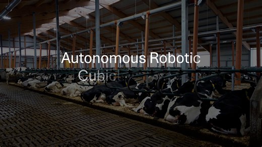 EI Student Entrepreneur Awards Application