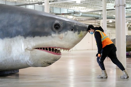 Largest shark that ever lived: Scientists unlock mystery about the megalodon