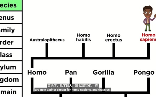 Phylogeny and the Tree of Life