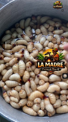 Tu veux apprendre un métier et devenir indépendant(e) ? ✂️ Chez moi, tu as des vidéos de formation complètes pour te lancer facilement, même sans expérience ! 💼🔥 Commence aujourd’hui et change ta vie 💪 #formation #couture #businessafricain #entreprendre #argent #apprendre #tiktokcameroun #yaounde #femmesentrepreneures #reussite #travail #motivation #formationenligne #independancefinanciere #afrique #petitbusiness #astuces #madame