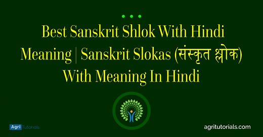 120  Best Sanskrit Shlok With Hindi Meaning | Sanskrit Slokas (संस्कृत श्लोक) With Meaning In Hindi - AGRI TUTORIALS