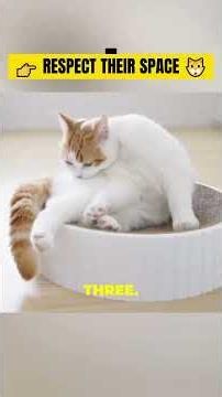👉 Why Cats Choose Some People Instantly 😳🐱