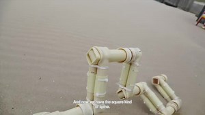 Another spine for the strandbeest #theojansenstrandbeest #strandbeest #evolution | Theo Jansen