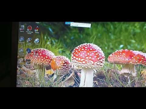 The Screen Melt Virus Prank! #hahaha #lol #crazy #funny #funnyvideo #humor #laptop #virus #prank