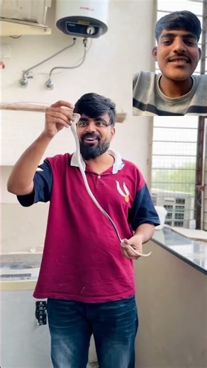 Snake Prank with Priyal 😂 #dushyantkukreja #shorts